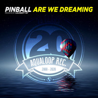 Pinball - Are We Dreaming