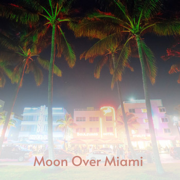 Various Artists - Moon over Miami