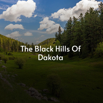 Various Artists - The Black Hills of Dakota