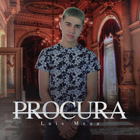 Luis Meza - Procura