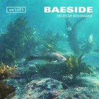 BΔESIDE - Fields Of Resonance