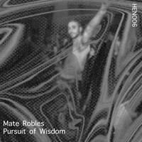 Mate Robles - Pursuit of Wisdom