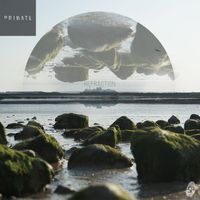 Primate - Refraction
