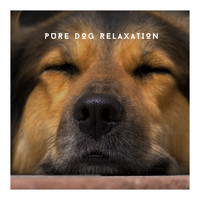 Relaxing Dog Chillout - Pure Dog Relaxation - Best Ambience To Keep Pup Chill