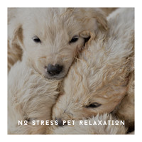 Pet Chillout Music - No Stress Pet Relaxation