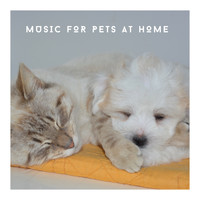 Pet Chillout Music - Music For Pets At Home Alone