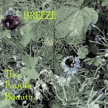 Breeze - The Fragile Beauty