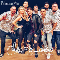 Lopeloba Lo Pediste, Lo Bailaste - Palmeras Mix