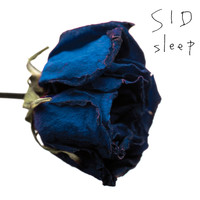 Sid - sleep