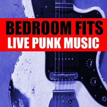Various Artists - Bedroom Fits Live Punk Music