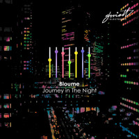 Bloume - Journey in the Night