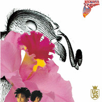 UNICORN - BOOM (UC30 Wakagaerukinrou Remastered)