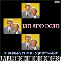 Jan and Dean - Surfing The Biggest Wave (Live)