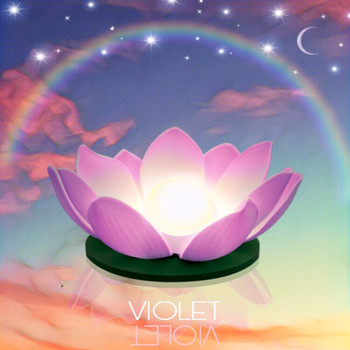 Jack Rose - Violet
