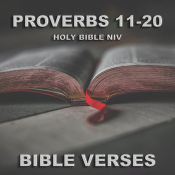 Bible Verses - Holy Bible Niv Proverbs 11-20