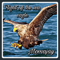 momajay - Flight of the Sea Eagle