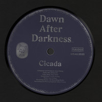 Cicada - Dawn After Darkness