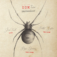 DDM - Arachnology
