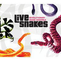 Revolutionary Snake Ensemble - Live Snakes