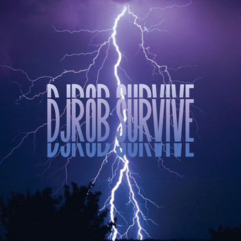 DJ Rob - Survive