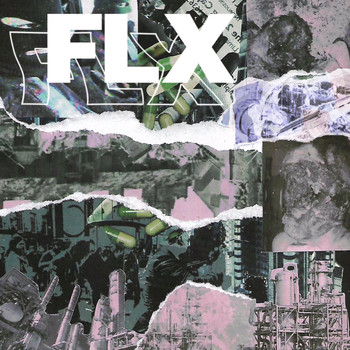 Flx - FLX (Explicit)