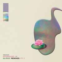 Rodriguez Jr. - Blisss Remixes Pt. 1