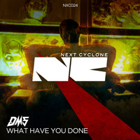 DMS - What have you done (Explicit)