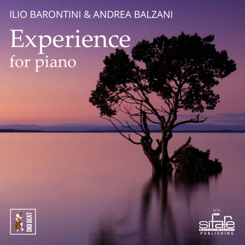 Ilio Barontini - Experience