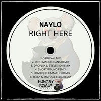Naylo - Right Here (EP)