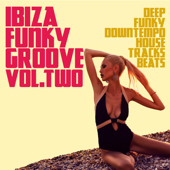 Various Artists - Ibiza Funky Groove Volume Two (Deep Funky Downtempo House Tracks Beats)
