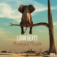Lovin' Beats - Potential Flower