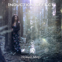 Induction Effect - Новый мир
