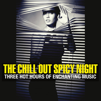 Various Artists - The Chill Out Spicy Night (Three Hot Hours of Enchanting Music)