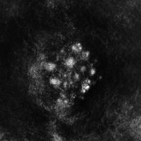 SaffronKeira - Synecdoche