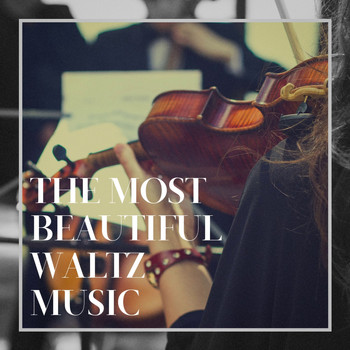 Various Artists - The Most Beautiful Waltz Music