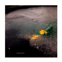 Todd Barton - Serge Vignette 3