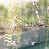 Fan Sounds For Sleep - Fan Sounds For Sleep Spring Collection