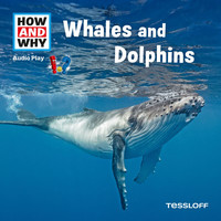 How and Why - Whales And Dolphins