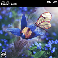 Emmett Zetto - One Life