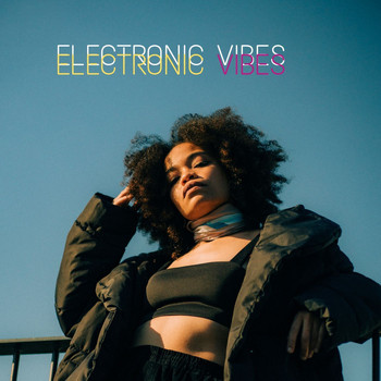 Various Artists - Electronic Vibes
