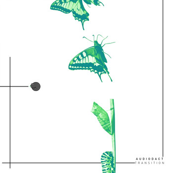 Audiodact - Transition