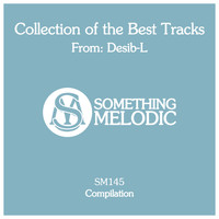 Desib-L - Collection of the Best Tracks From: Desib-L