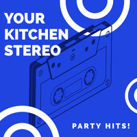 Vibe2Vibe - Your Kitchen Stereo: Party Hits!