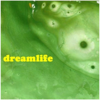 DreamLife - I Will Survive