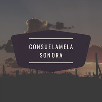 La Sonora Matancera - Consuelame La Sonora