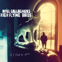 Noel Gallagher's High Flying Birds - If I Had A Gun…