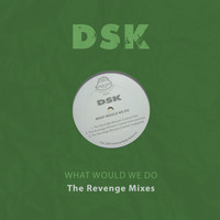 DSK - What Would We Do - The Revenge Mixes