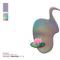 Rodriguez Jr. - Blisss Remixes Pt. 2