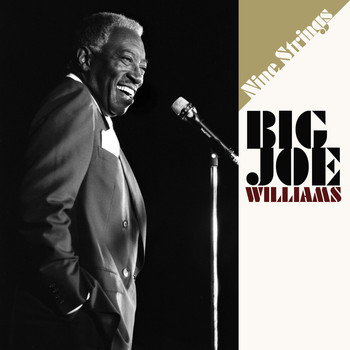 Big Joe Williams - Nine Strings