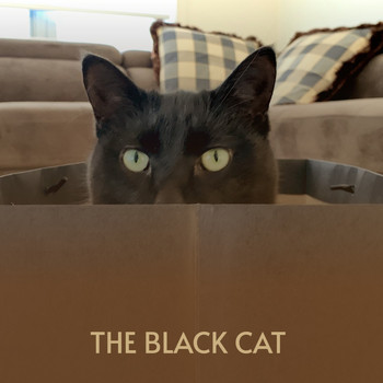 Various Artists - The Black Cat